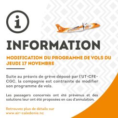 Modification du programme de vols du 17 novembre